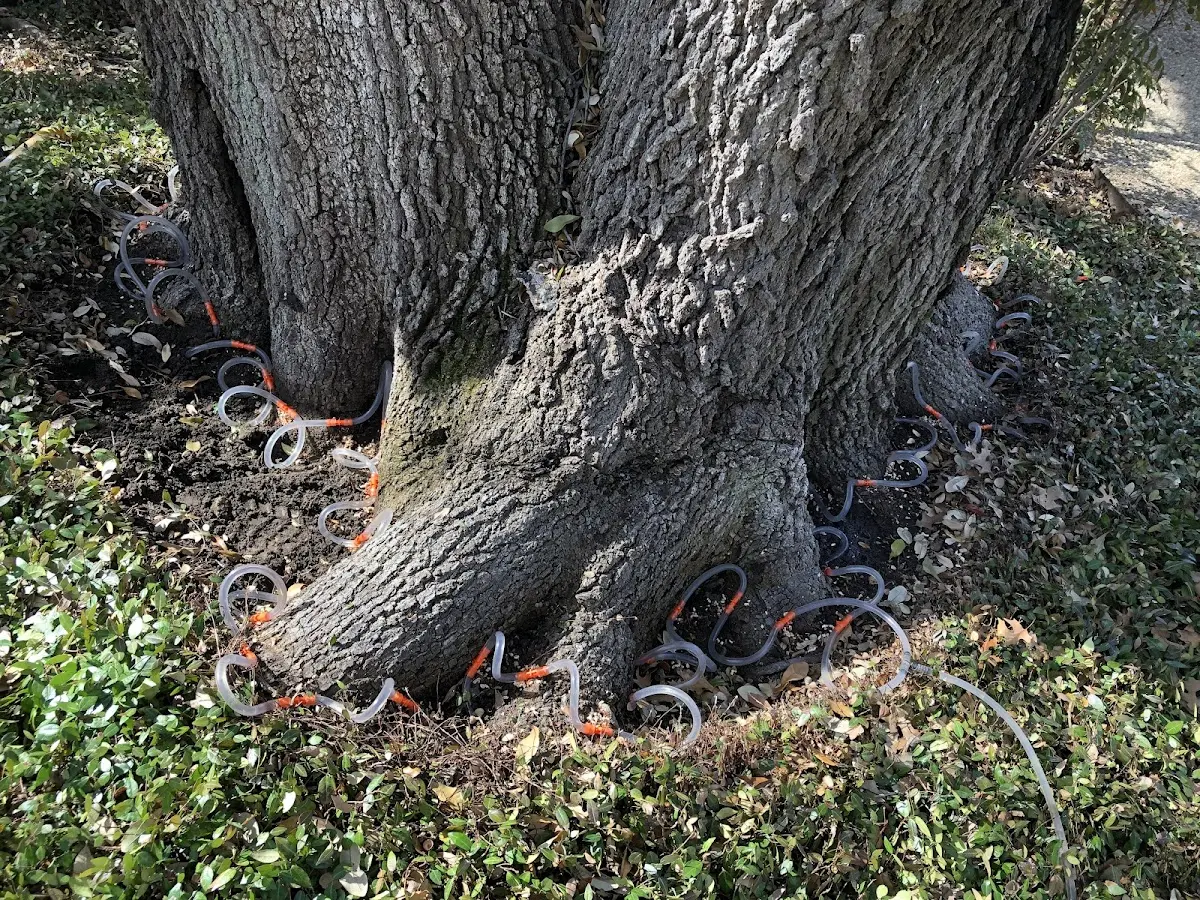 Detailed Shrub and Hedge Trimming job site in Gillett