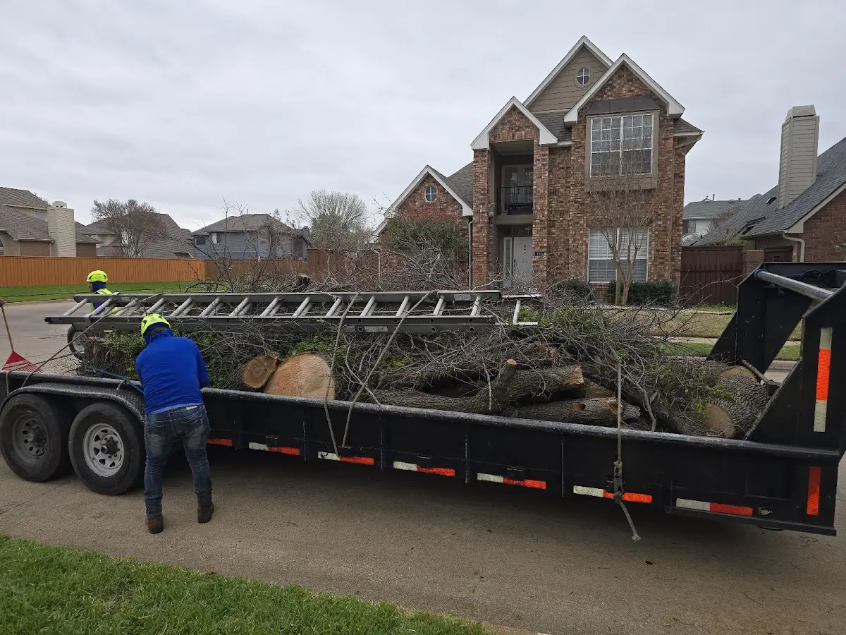 Expert Tree Fertilization with proper safety equipment in Gillett